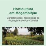 Manual Horticultura em Moçambique